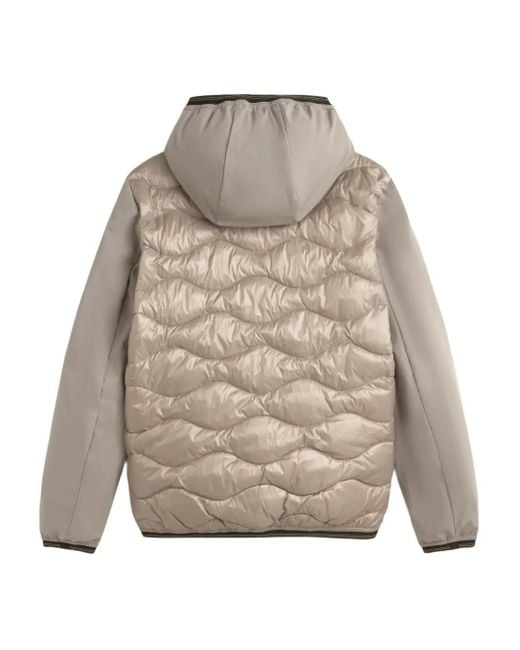 Blauer Gray Quilted Hooded Jacket for men