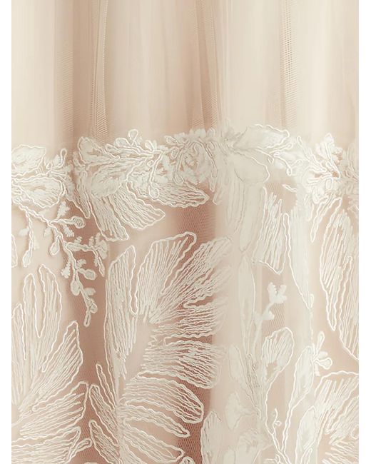 Tadashi Shoji Natural Lace Belted Dress
