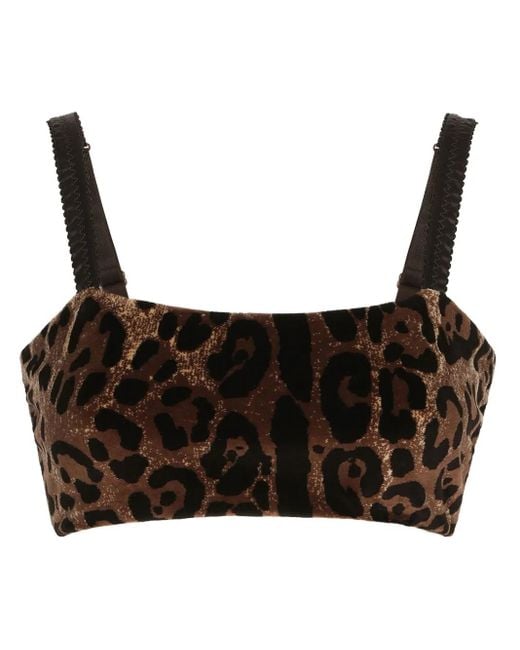 Dolce & Gabbana Brown Leopard-Print Sleeveless Crop Top