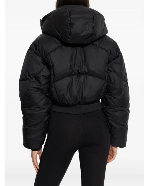 Adidas By Stella McCartney Black Light Jackets