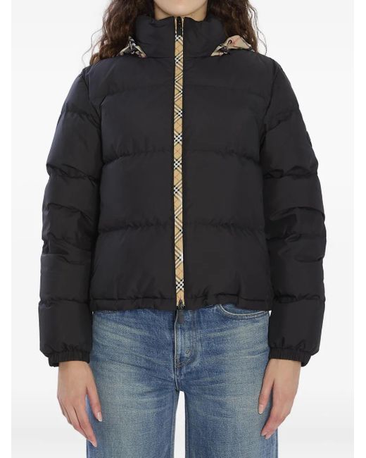 Doudoune À Capuche Dissimulée Burberry en coloris Black