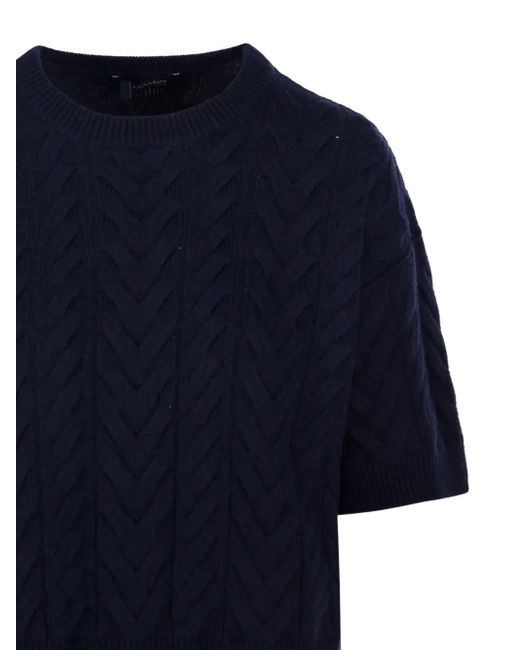 Maglione A Maniche Corte di Max Mara in Blue