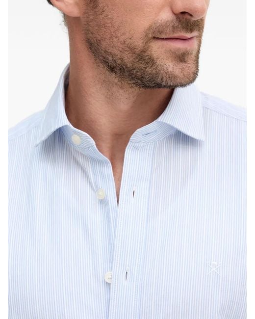 Hackett Blue Striped Shirt for men