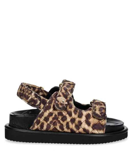 Kurt Geiger Brown Orson Sandalen