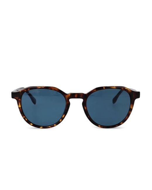 Lacoste Blue Havana Acetate Sunglasses for men