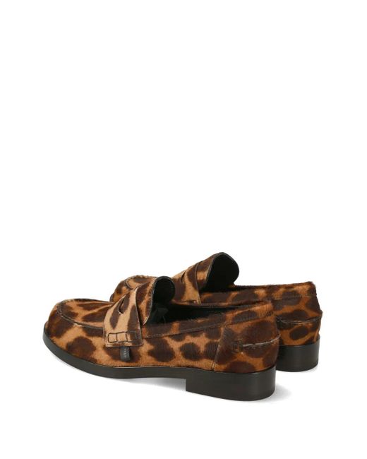 Premiata Brown Siria Loafers