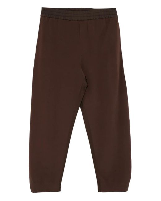 メンズ CROQUIS リブニット パンツ Brown