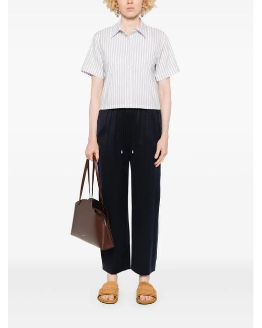 Peserico Blue Straight Trousers