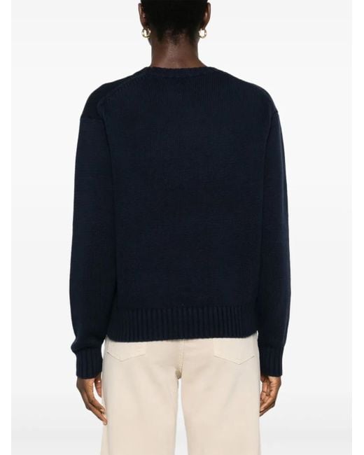Polo Ralph Lauren Polo Bear Katoenen Sweater in het Blue