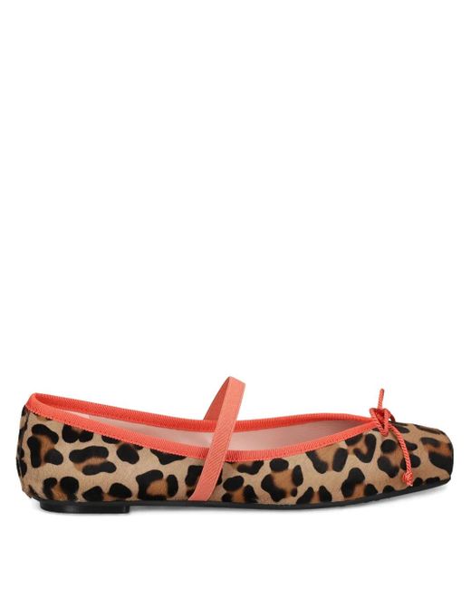 Pretty Ballerinas Red Leopard-Print Ballerina Shoes