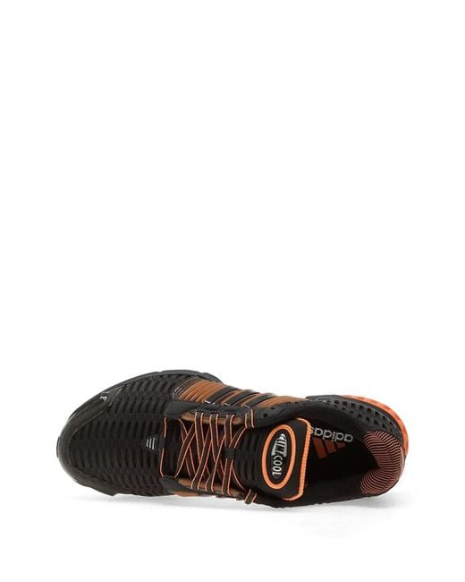 Adidas Black Climacool Sneakers for men