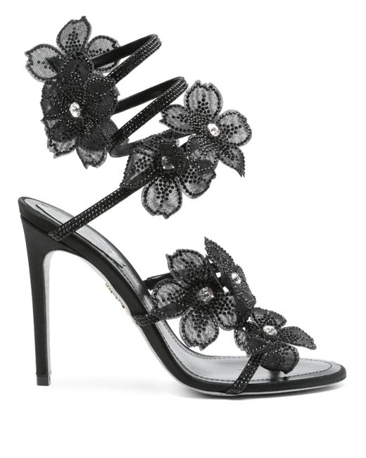 Rene Caovilla Black Shoes