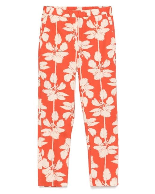 Diega Pacifico パンツ Red
