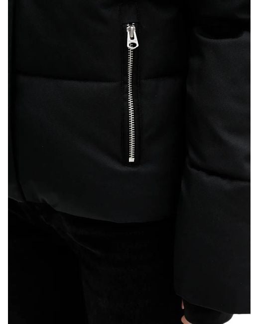 Hollister Black Hooded Puffer Jacket