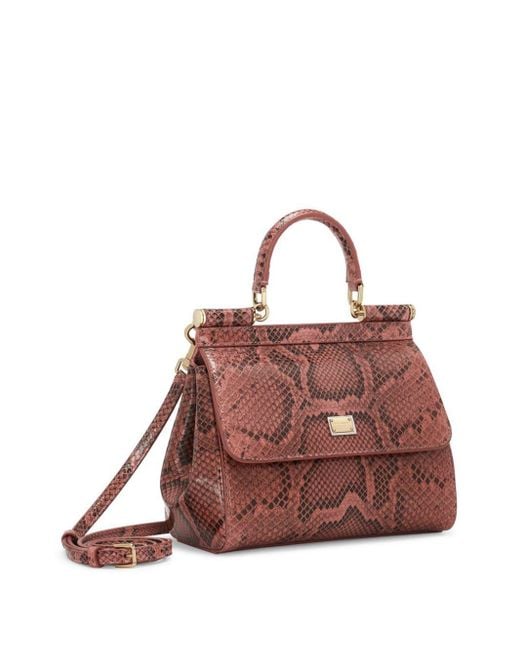 Dolce & Gabbana Brown Sicily Snakeskin-effect Top-handle Bag