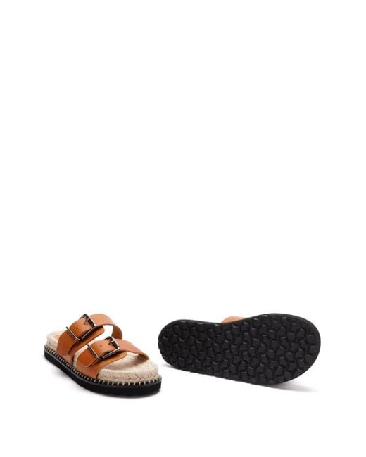 Castaner Brown Shoes