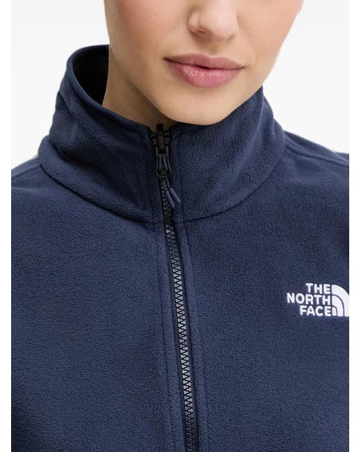 The North Face Blue Glacier Fleece Jacket