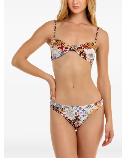 Agua Bendita Ilu ビキニボトム Brown