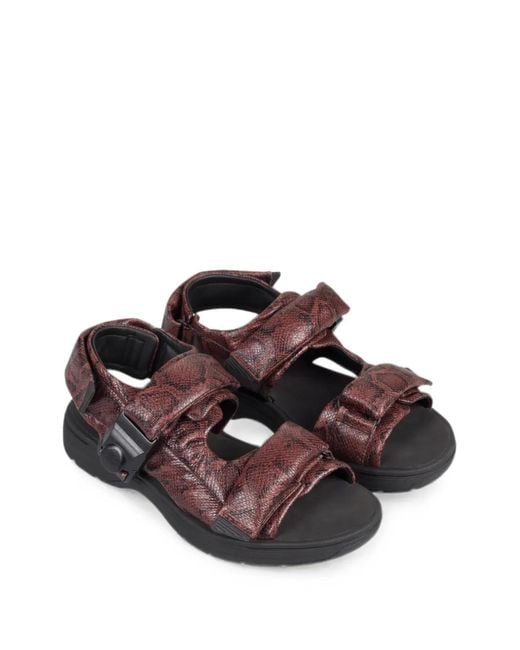 Clarks Brown Snake-Effect Padded Sandals for men