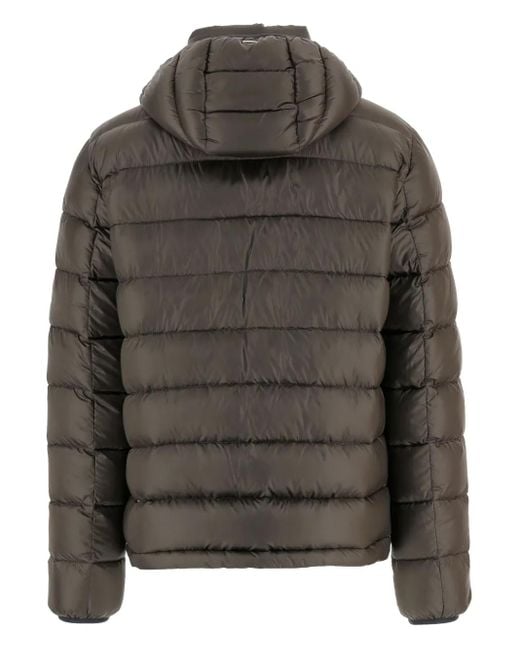 Herno Gray Padded Hooded Jacket for men