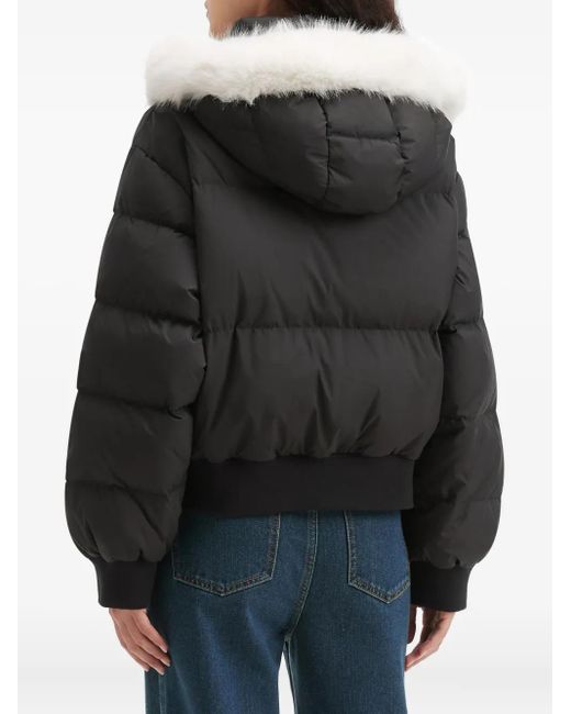 B+ AB Donsjack Met Capuchon in het Black