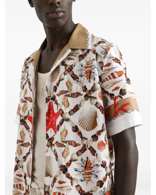 Dolce & Gabbana Hawaiihemd Mit Muschel-Print in Multicolor für Herren