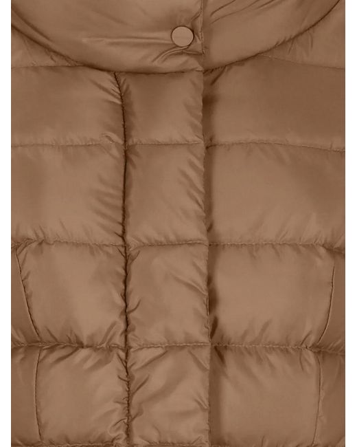 Peuterey Brown Coats
