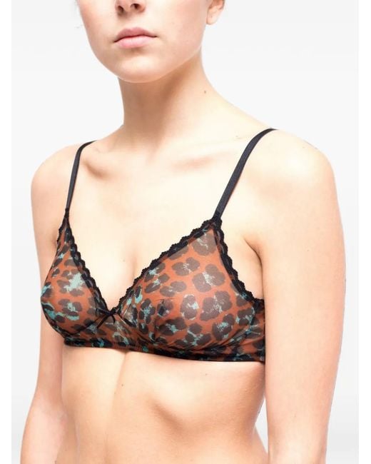 Laura Urbinati Brown Soutien-Gorge À Imprimé Léopard En Mesh