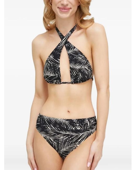 MICHAEL Michael Kors Black Palm-Print Bikini Bottoms