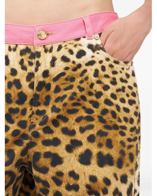 Roberto Cavalli Natural Animal-Print Trousers
