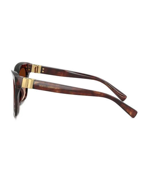 Dolce & Gabbana Brown Oversized Tortoiseshell Sunglasses