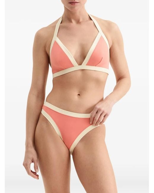 Eres Pink Calathea Trimmed Bikini Briefs