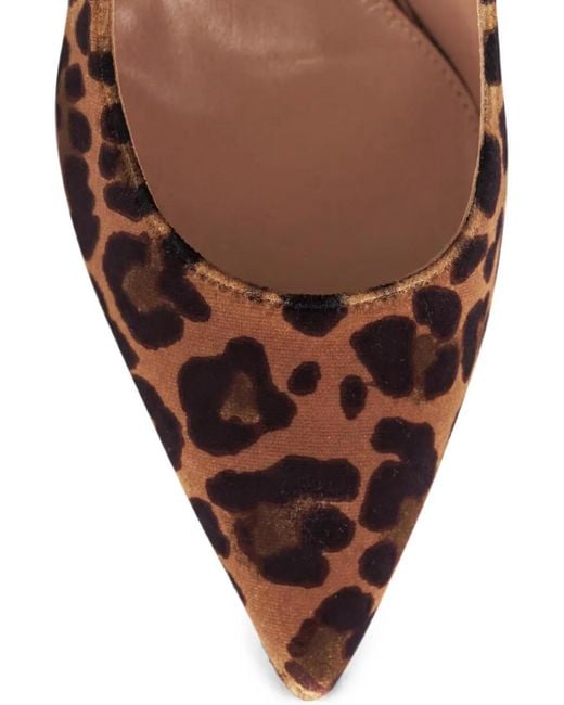 Gianvito Rossi Brown Gianvito 70 Pumps