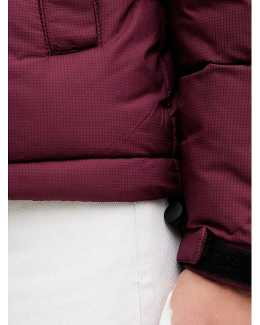 Benetton Gewatteerd Jack Met Rits in het Red voor heren