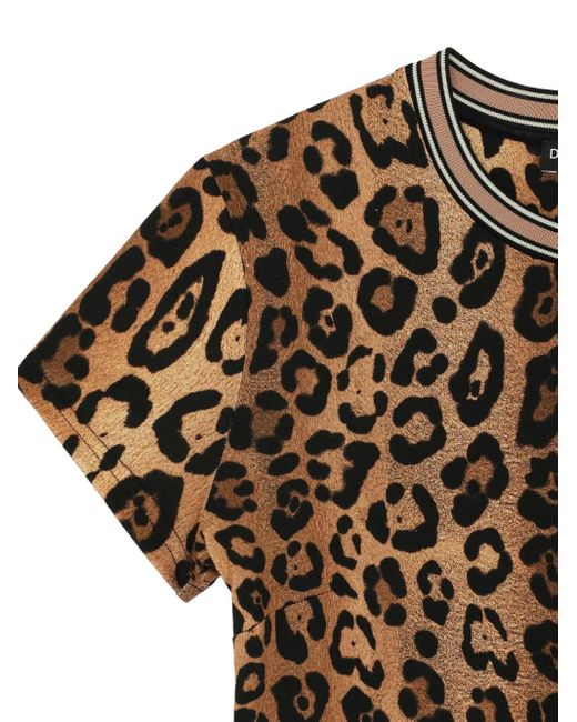 Dolce & Gabbana White Leopard-Print Crew-Neck T-Shirt