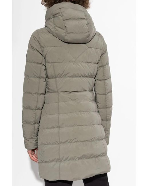 Canada Goose Donsjas Met Capuchon in het Gray