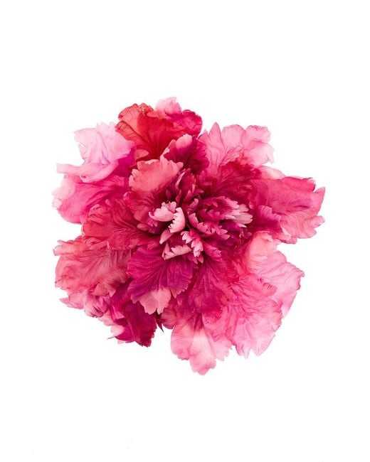 Ann Demeulemeester Pink Large Flower Brooch
