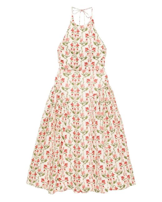 canna balsa beaded midi dress Agua by Agua Bendita Balsa Canna Dress in Multicolor