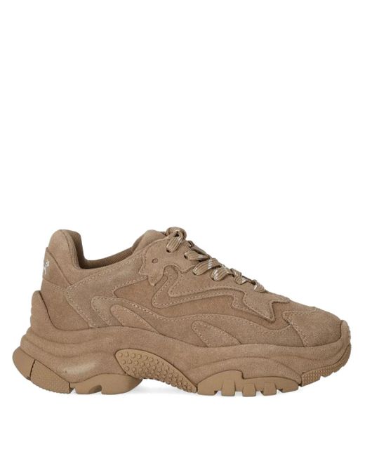 Baskets Addict En Daim Ash en coloris Brown