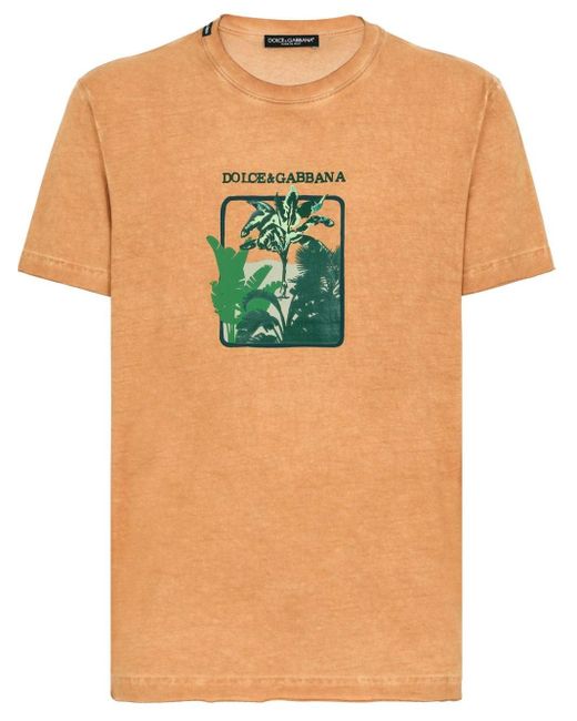 Dolce & Gabbana Green Leaf-print Cotton T-shirt for men