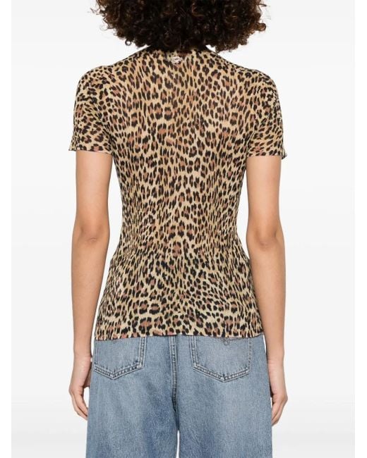 Blumarine レオパード Tシャツ Brown