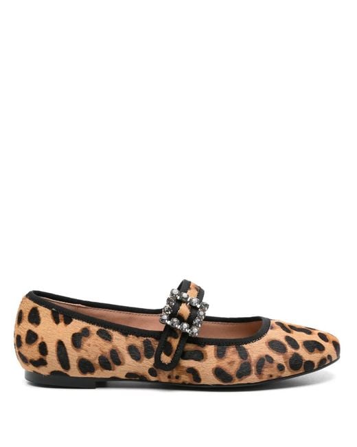 Bibi Lou Brown Essen Ballet Flats
