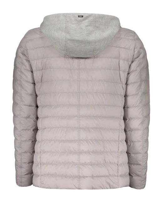 Herno Gray Hooded Padded Jacket for men