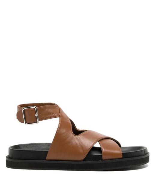 Senso Noah Sandalen Met Open Neus in het Brown