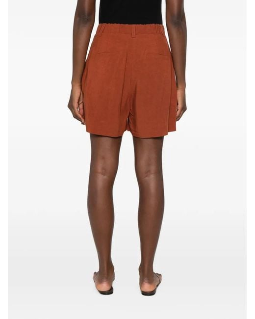Kaos Brown Pleated High-Waisted Shorts