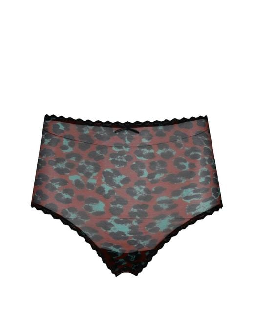 Laura Urbinati Gray Culotte À Imprimé Léopard Et Finitions En Dentelle