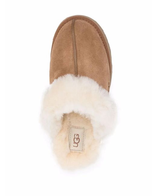 Ugg Brown W Disquette