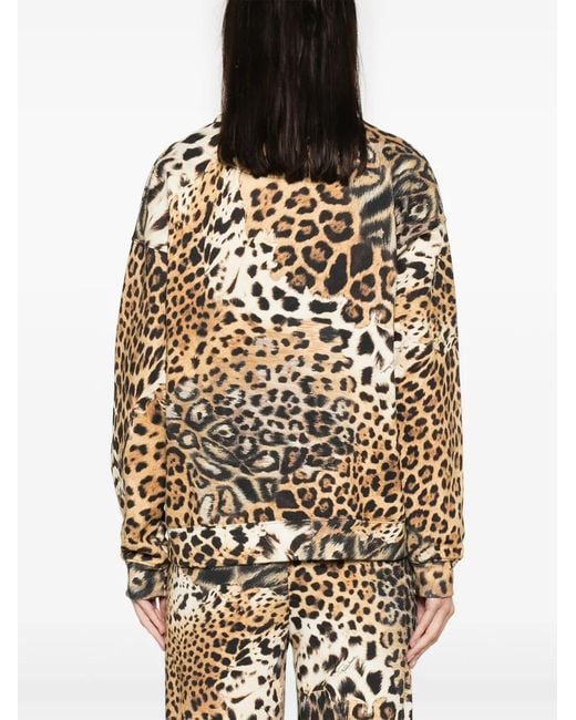 Roberto Cavalli Black Jaguar Skin-Print Cotton Sweatshirt