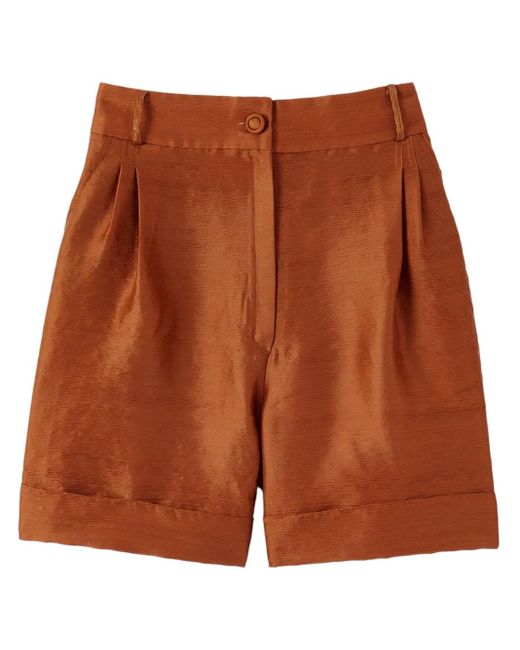 Shorts Daniel Con Pieghe di D'Estree in Brown