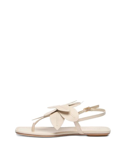 Stuart Weitzman Natural Paradise Sandals